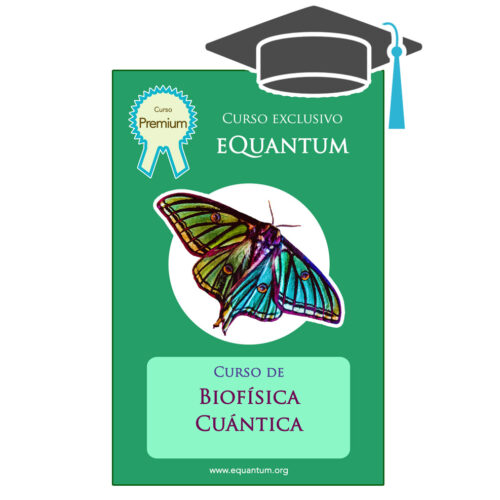 Física Cuántica y Conciencia (formación online en directo) - image equantum-curso-premium-biofisica-cuantica-500x500 on https://equantum.org