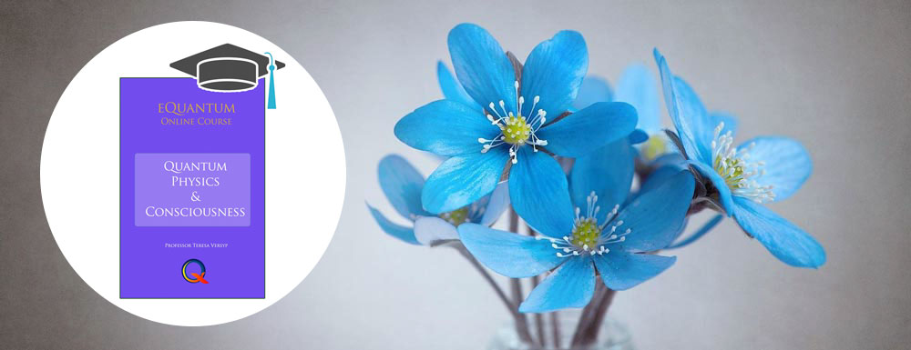 Home - image blue-flowerscaratulacurso on https://equantum.org
