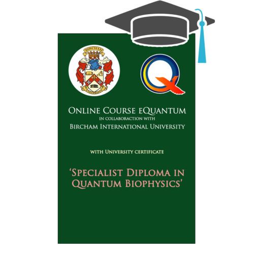 CUOTA PARCIAL Curso de Biofísica Cuántica - image cursobiu-eq-caratulashop-eng-500x500 on https://equantum.org