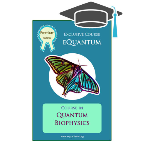 Formación Diploma de Especialista en Biofísica Cuántica (BIU) - image equantum-course-in-quantum-biophysics-500x500 on https://equantum.org