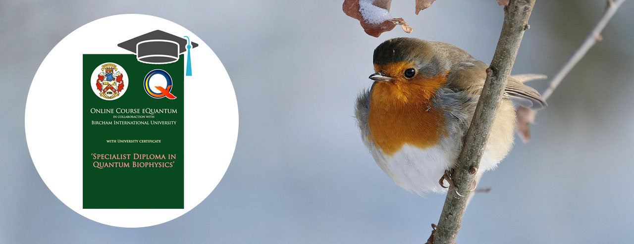 Home - image robin-biu-course on https://equantum.org